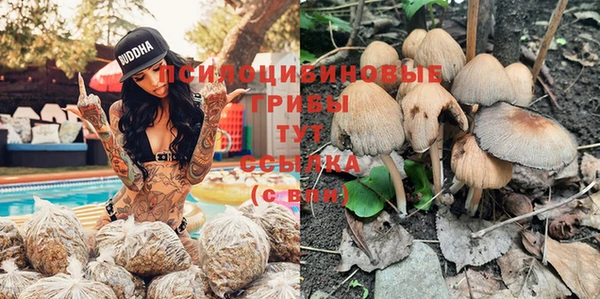 гидропоника Волоколамск